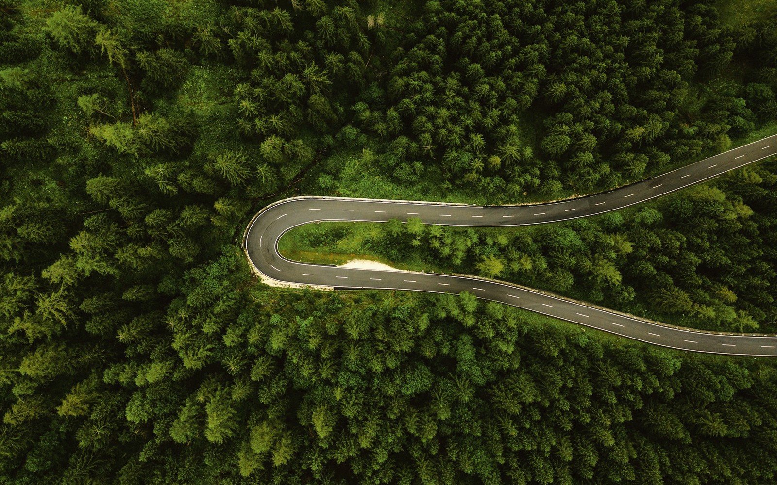 The Custer Loop