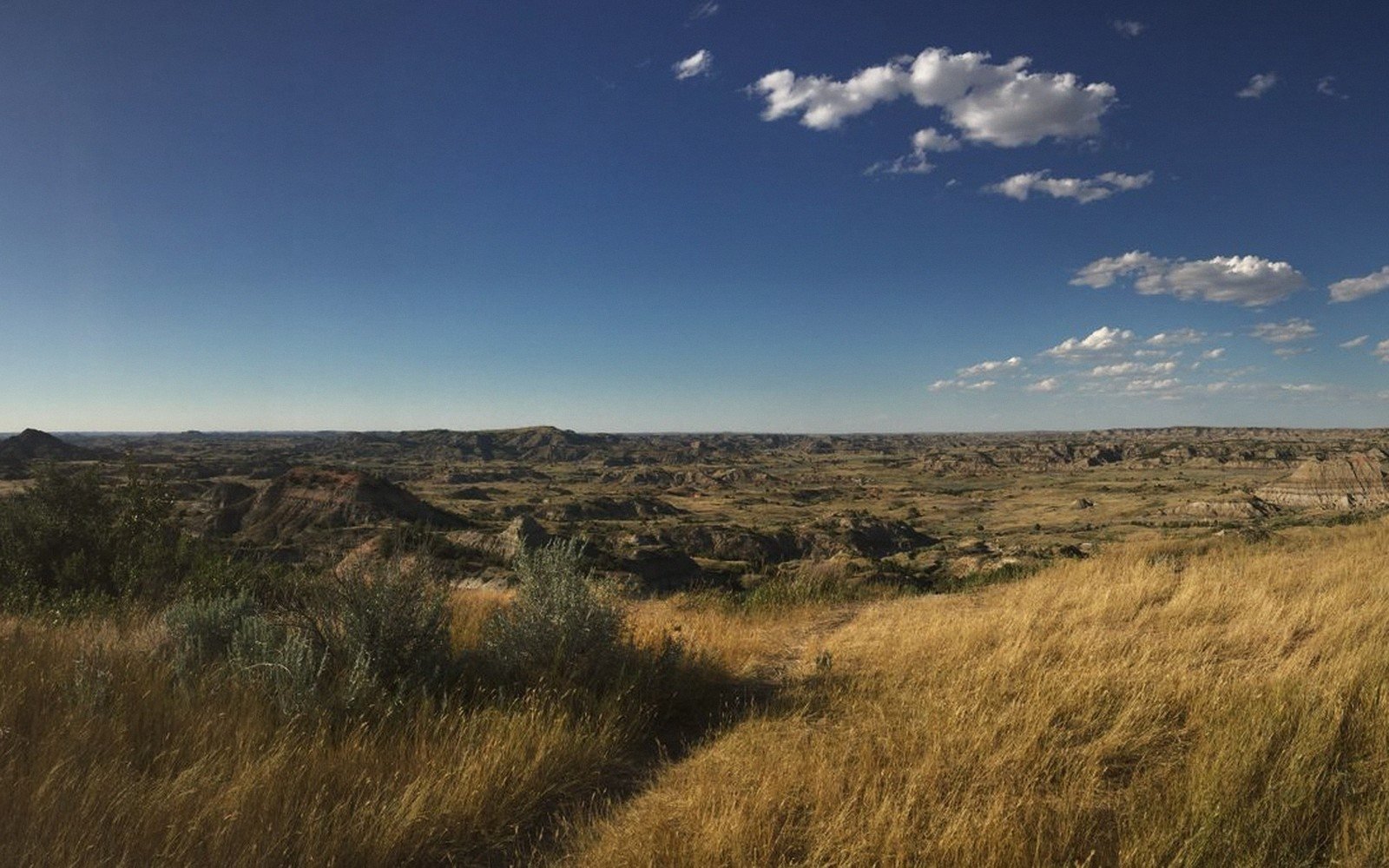 The Northern Prairie